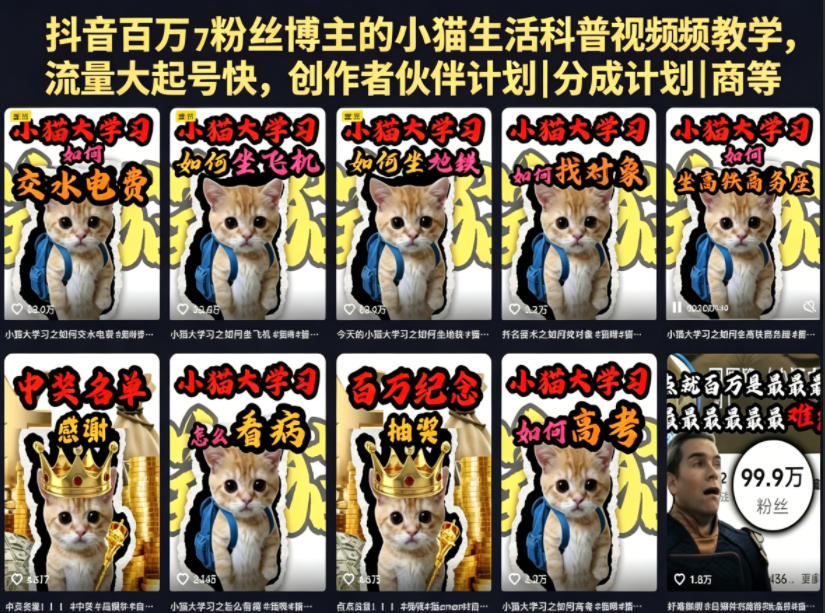 抖音百万粉丝博主的小猫生活科普视频教学,流量大起号快,创作者伙伴计划|分成计划|商单|收徒等云学当下-创业资源网-知予轻创网-资源整合-互联网创业课程云学当下
