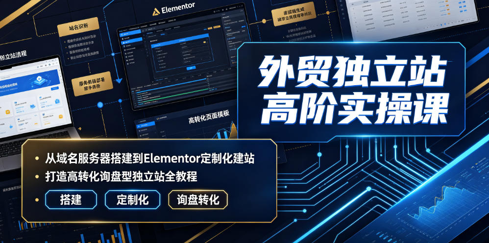 外贸独立站高阶实操课｜从域名服务器搭建到Elementor定制化建站，打造高转化询盘型独立站全教程云学当下-创业资源网-知予轻创网-资源整合-互联网创业课程云学当下