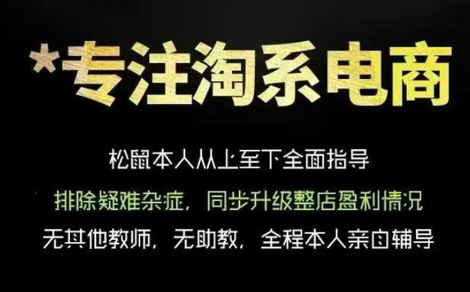 松鼠会电商VIP课程,从基础布局到高阶优化,助你掌握淘宝运营逻辑,提升店铺流量与转化云学当下-创业资源网-知予轻创网-资源整合-互联网创业课程云学当下