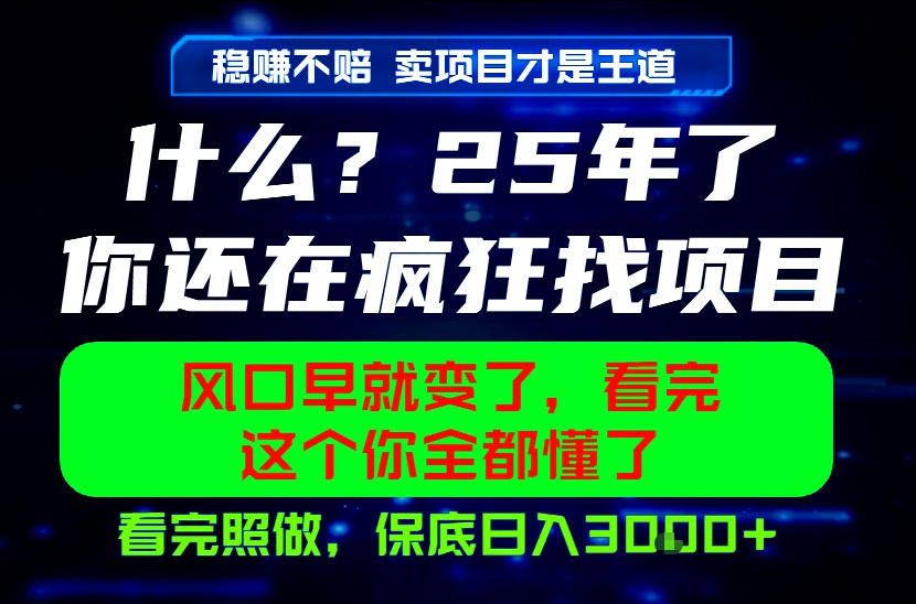 26年，请不要疯狂的找项目做了！卖项目才是真的稳賺不赔，看完照做，保底日入1k+【揭秘】云学当下-创业资源网-知予轻创网-资源整合-互联网创业课程云学当下