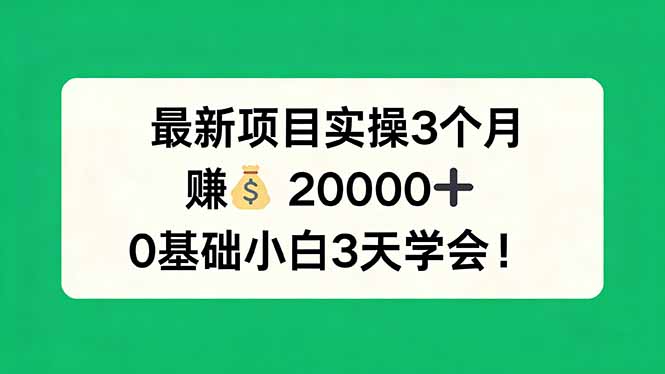 最新项目实操3个月，赚钱20000+，0基础小白3天学会！-云学当下